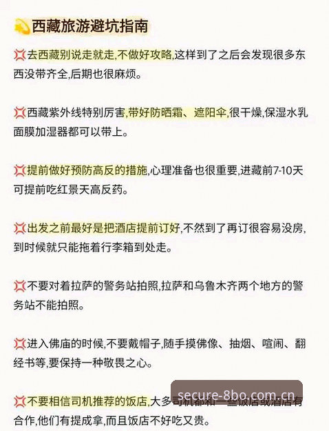 8博体育平台新用户避坑指南：安全直达的上网方式中国官网操作教程
